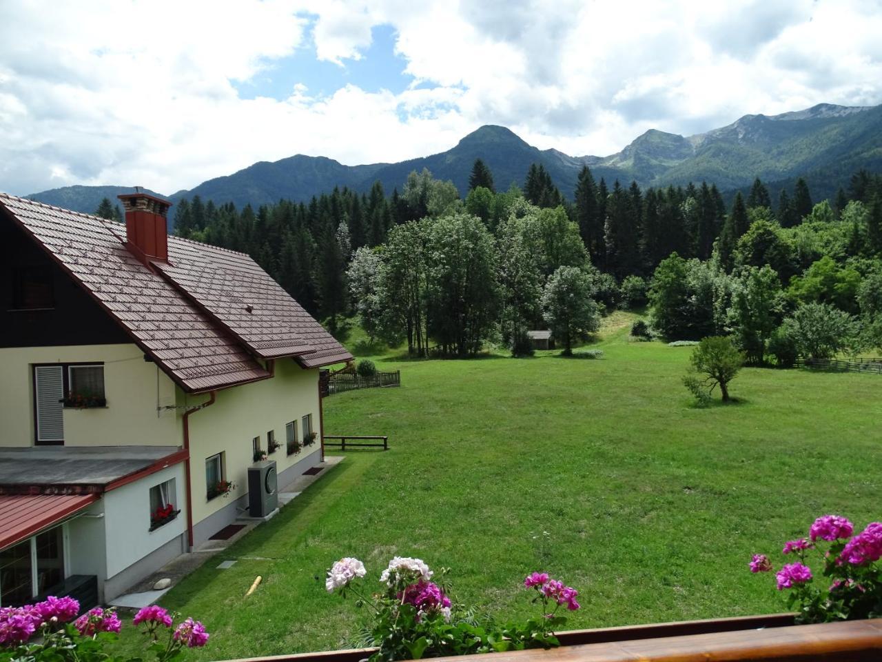 Apartma Kosnik Bohinj Exterior foto